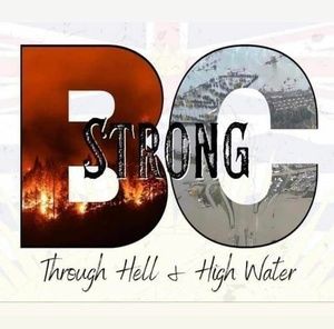 Meet your Posher, Frances